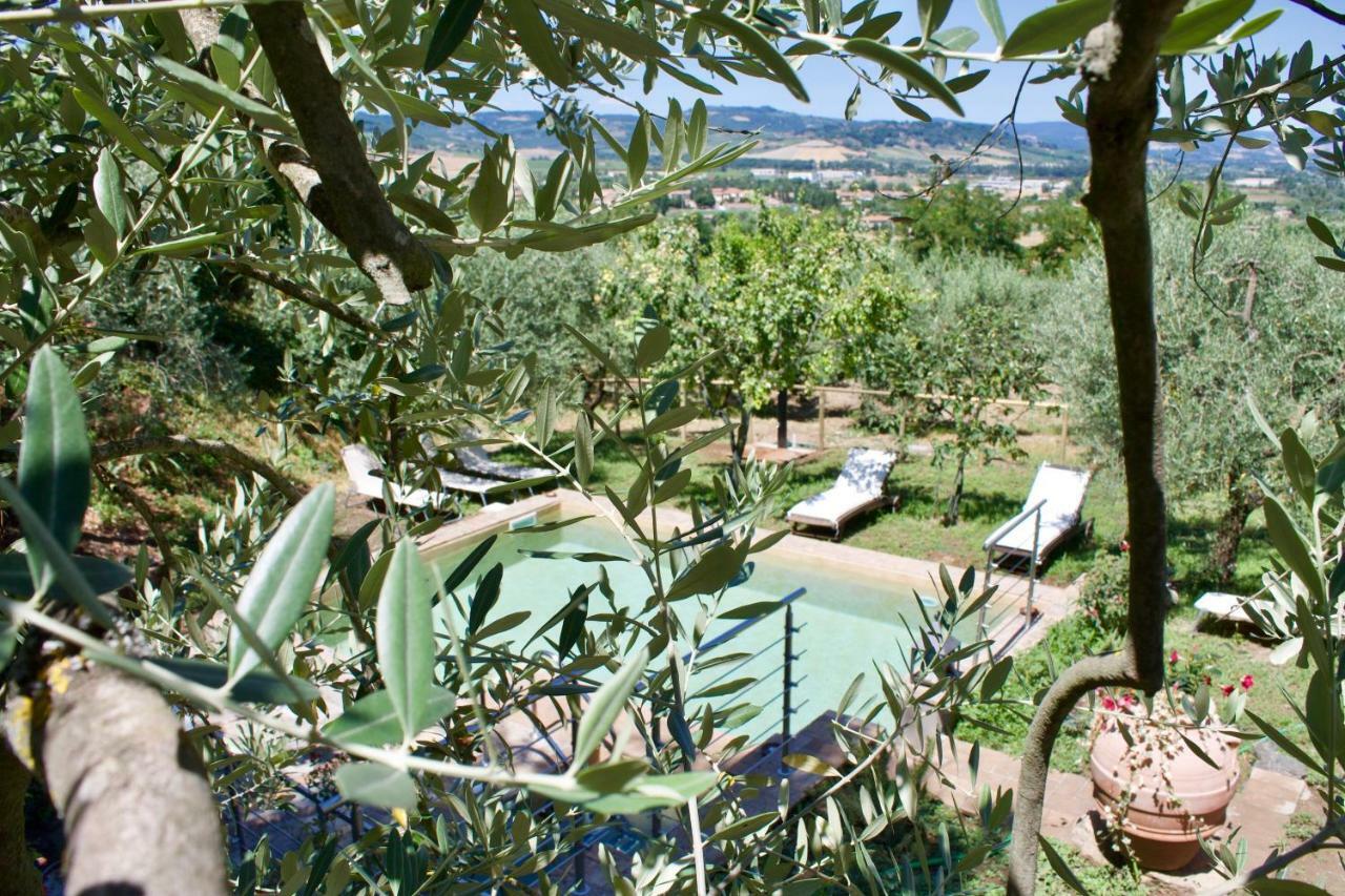 Agriturismo Podere Pescara Orvieto Exterior photo